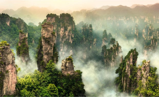 Forest Mountains