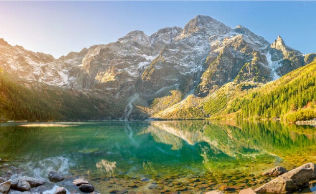 Mountain Lake Trees