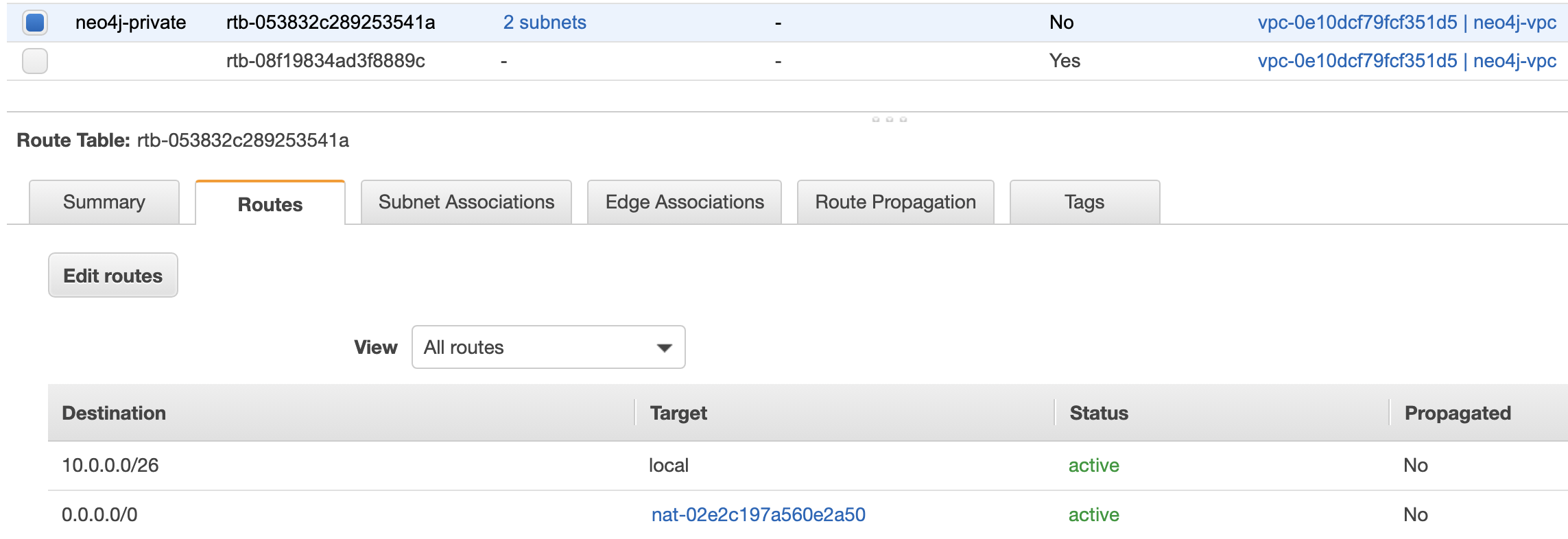 Neo4j ECS on EC2 - Private Subnet Route Table