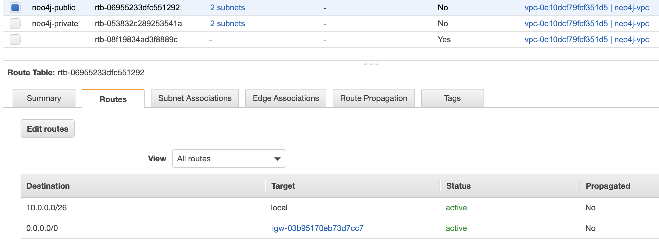 Neo4j ECS on EC2 - Public Subnet Route Table